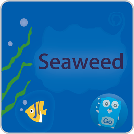 SeaweedFS